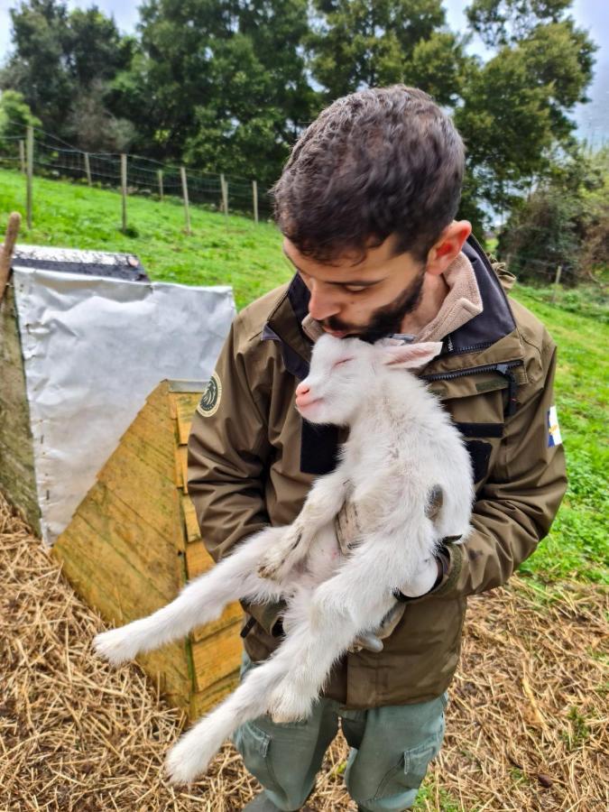 Quinta Do Caminho Da Igreja Ter-Casas De Campo Velas Kültér fotó
